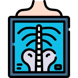 X-ray X-ray